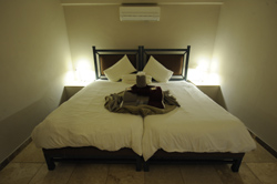 Namibia Wildlife Resorts