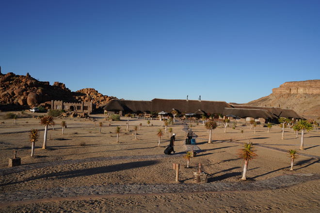 Picture of quiver tree garden at Canyon Village things to do in Fish River Canyon Namibia
