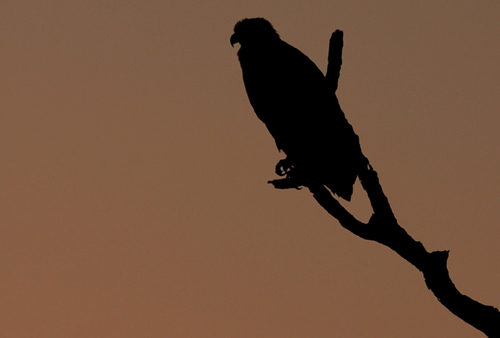 Etosha Eco Luxury at Onkoshi Eco Resort