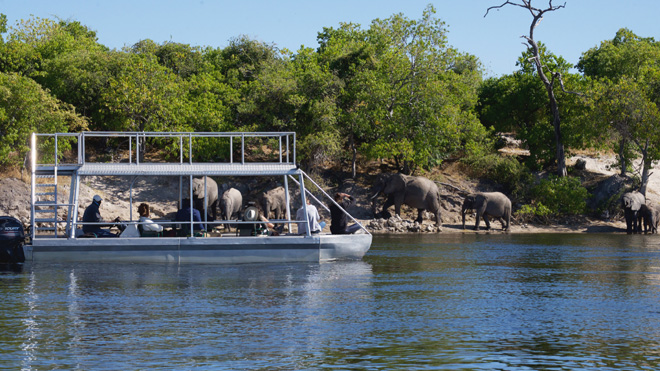 Game viewing from boat at Chobe River Camp Caprivi Namibia