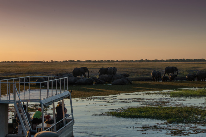 Picture of game viewing from boat in Caprivi Namibia