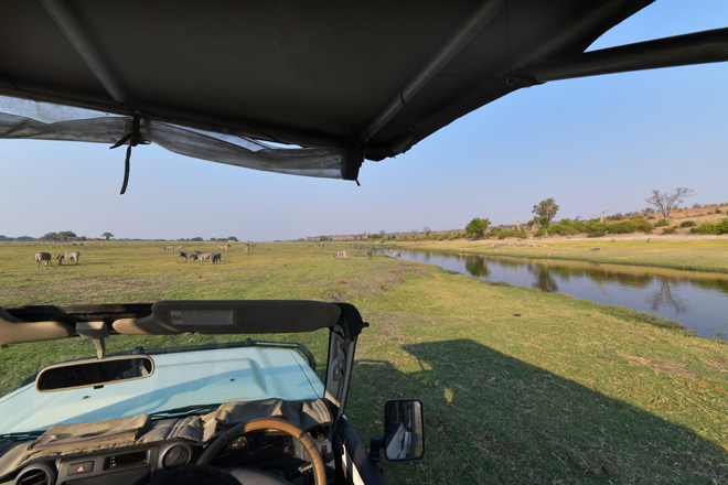 Game drives and birding tours from Chobe River Camp Caprivi Namibia
