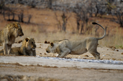 Photos of Namibia