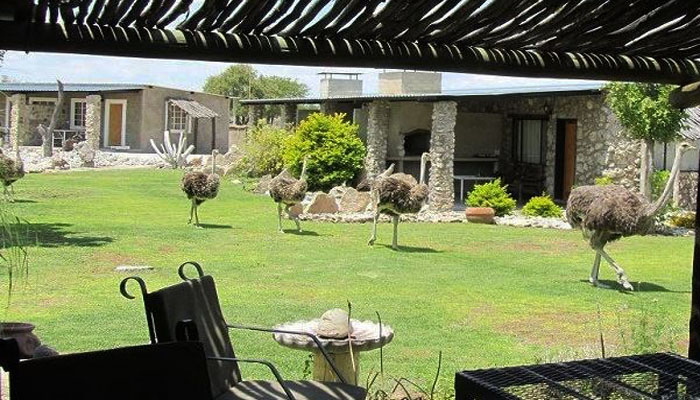 Accommodation Room Type 1 at Eldorado Lodge Etosha National Park Namibia