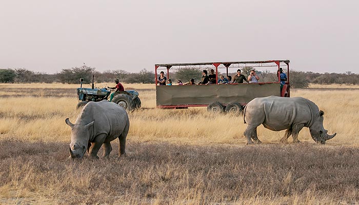 Things to do at Elodorado Lodge Etosha National Park Namibia