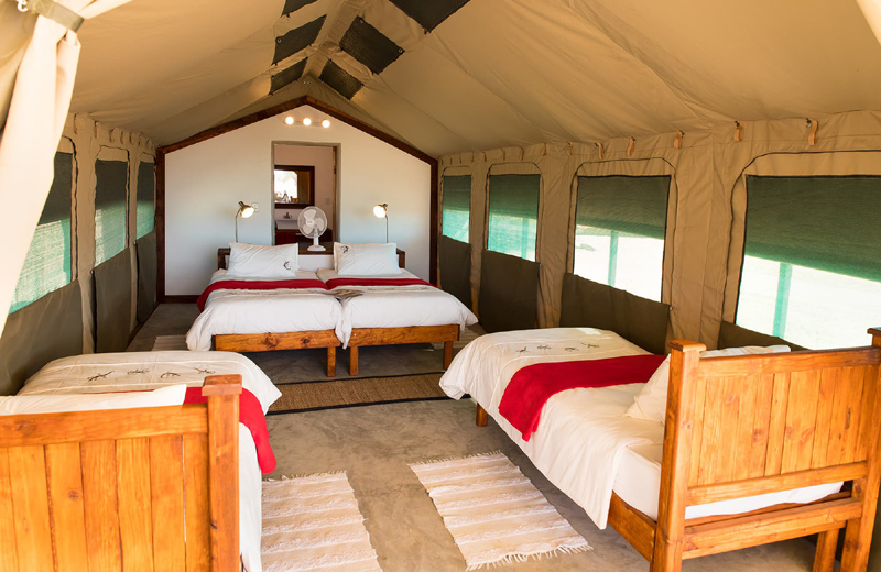 Accommodation Room Type 1 at Etosha Safari Camping 2Go Etosha National Park Namibia