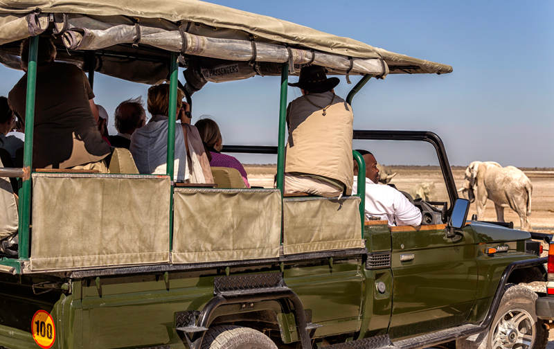 Things to do at Etosha Village Etosha National Park Namibia