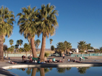 Namibia Wildlife Resorts