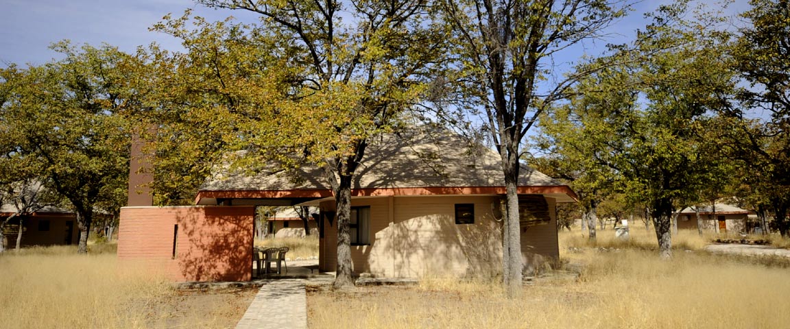 Halali Bush Chalet with 4 beds (2 bedrooms)) inside Etosha National Park Namibia