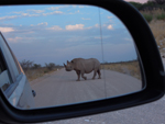 Namibia Wildlife Resorts