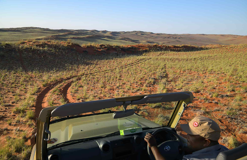 Things to do at Namib Desert Camping2go Sossusvlei Namibia