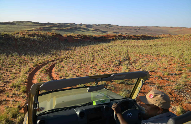 Things to do at Namib Desert Lodge Sossusvlei Namibia