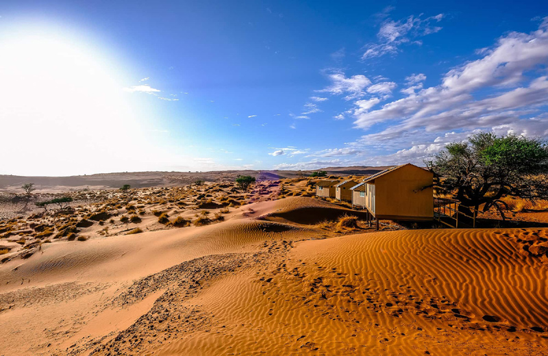 Accommodation Room Type 1 at Namib Dune Star Camp Sossusvlei Namibia