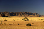 Namibia Wildlife Resorts