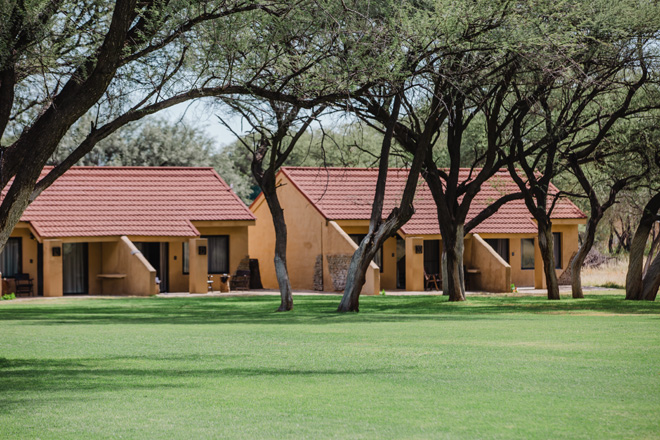 Photo of Okapuka Safari Lodge Accommodation at Windhoek in Namibia