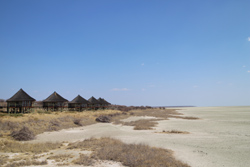 Onkoshi Camp Namibia