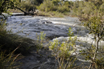 Namibia Wildlife Resorts