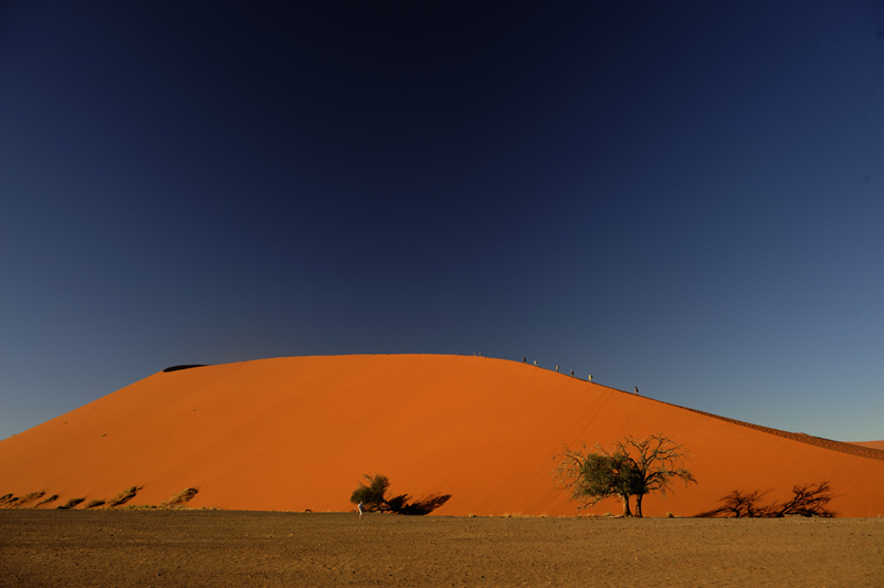 Things to do at Sesriem Camp Sossusvlei Namibia