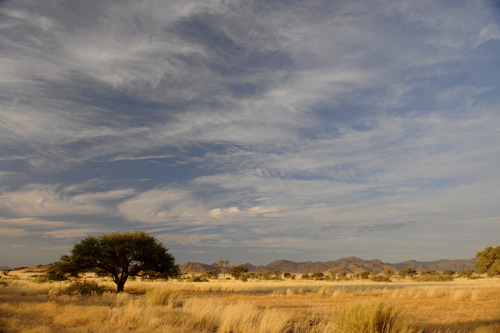 The newest camp in the park and first in the west of Etosha