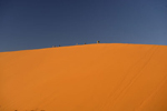 Namibia Wildlife Resorts