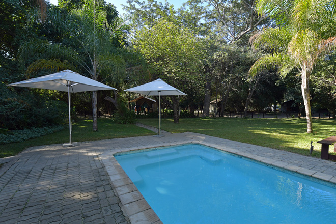Picture of swimming pool at Zambezi Mubala Camp in Caprivi Namibia