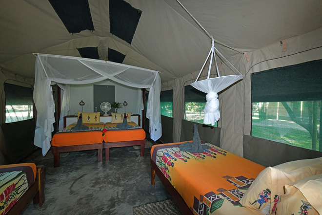 Picture of interior of Zambezi Mubala Camp Accommodation at Caprivi in Namibia