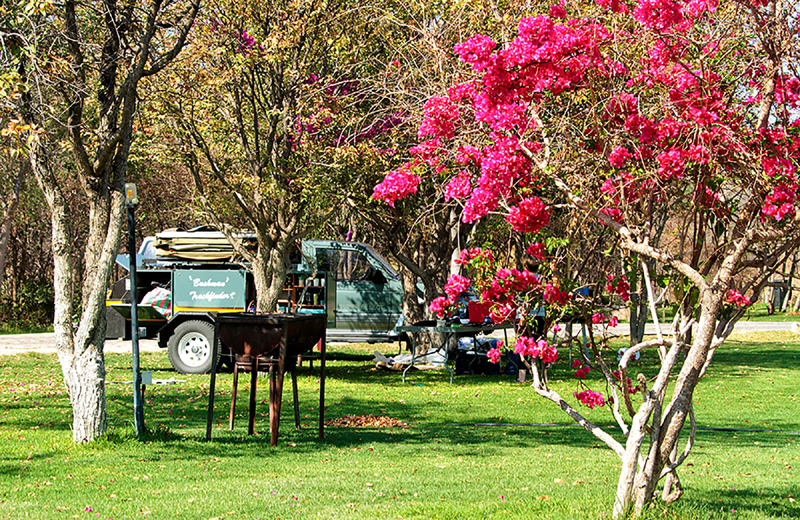 Etosha Safari Campsite Etosha National Park Namibia