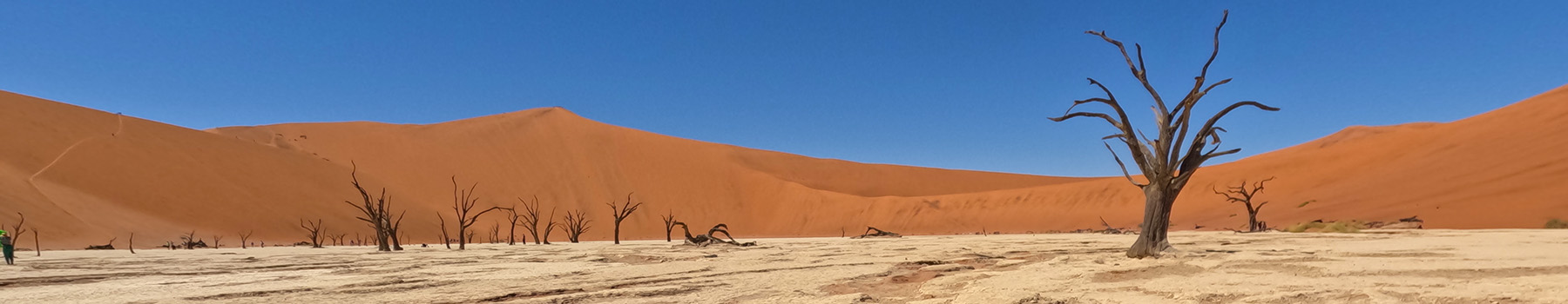 Dramatic landscape in Namibia. Deadvlei near Sossusvlei.