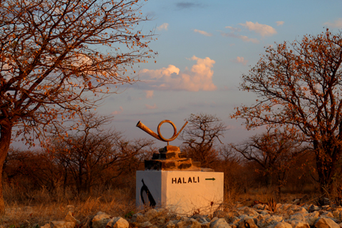 Halali camp is a popular midway stop between Okaukuejo and Namutoni