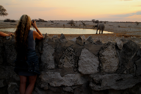 Okaukuejo Waterhole offers game viewing from the comfort of the camp