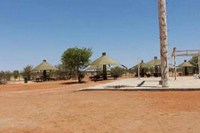 Olifantsrus Etosha Namibia