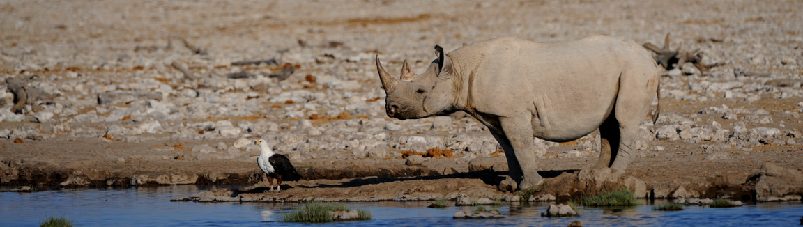 Halali Camp NWR inside Etosha National Park Namibia