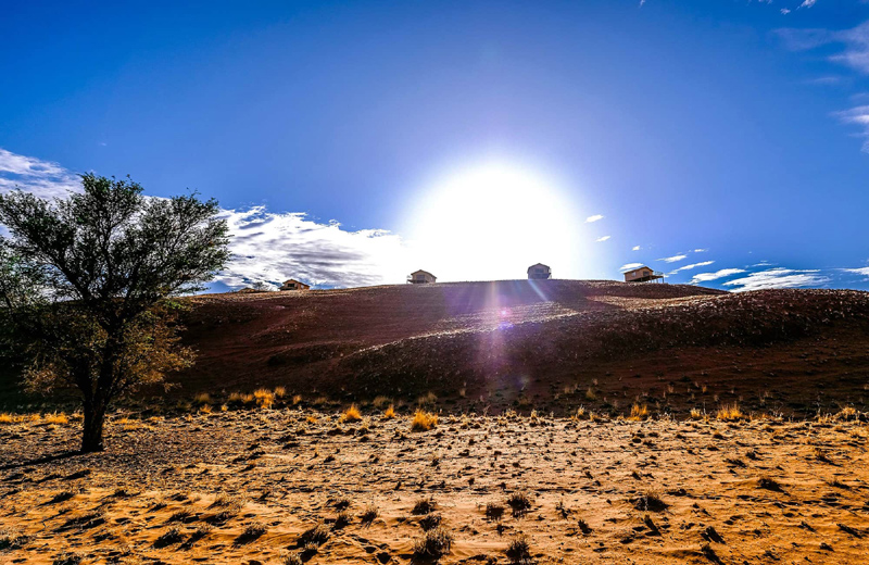 Namib Dune Star Camp Sossusvlei Namibia