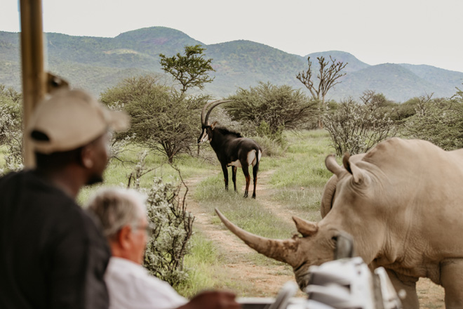 A safari experience just outside Namibia's capital city of Windhoek