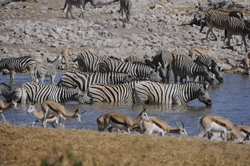 Photos of Namibia