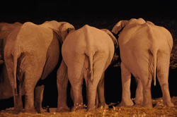 Photos of Namibia