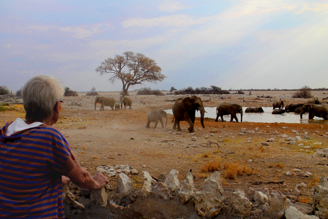 OkaukuejoCamp Etosha National Park