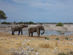 Photos of Namibia