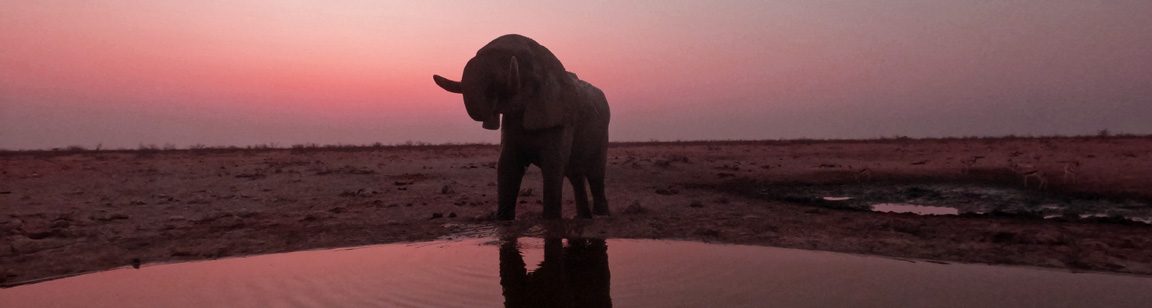 Things to do at Olifantsrus Camping in Etosha National Park Namibia