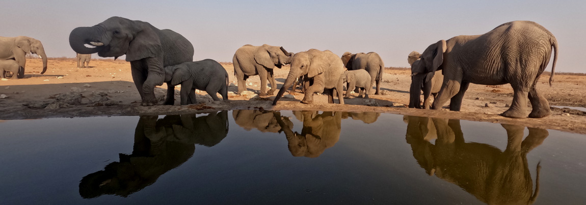 Olifantsrus Camping in Etosha National Park Namibia