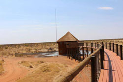 Etosha Olifantsrus Camp NWR