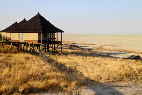 Activites at Onkoshi NWR Etosha Namibia