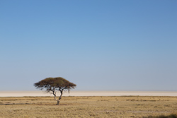 Photos of Namibia