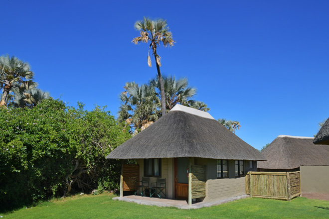 The green oasis of Palmwag Lodge in the dramatic Damaraland landscape.