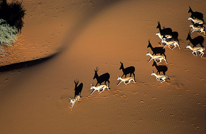 Describe this photo