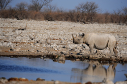 Photos of Namibia