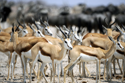 Photos of Namibia