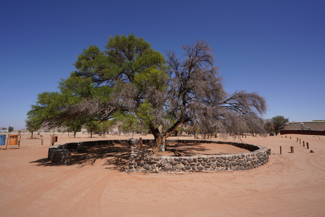 Room Type 1 at Sesriem Camp Sossusvlei Namibia