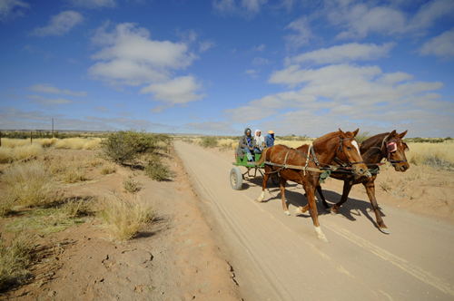 The newest camp in the park and first in the west of Etosha