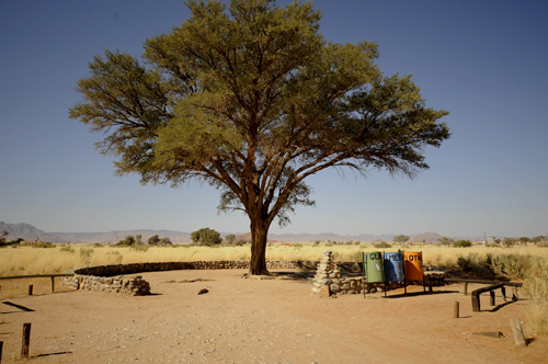 Okaukuejo Waterhole offers game viewing from the comfort of the camp